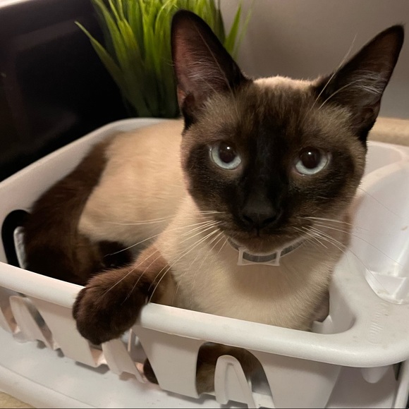 I’m Rain 🌧 - Picture 8 of 8